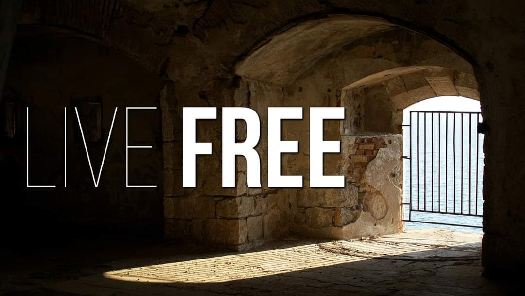 Live_Free_Galatians.jpg